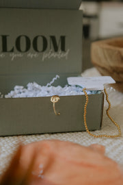 Bloom Box - September