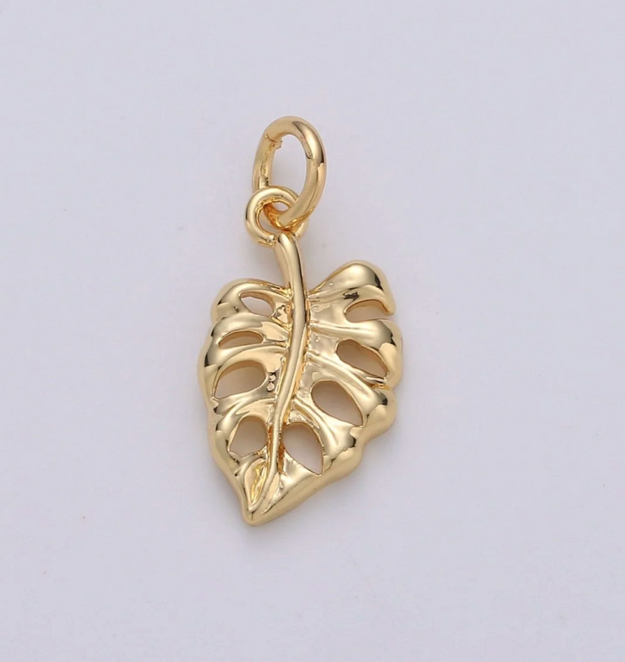 Monstera Charm