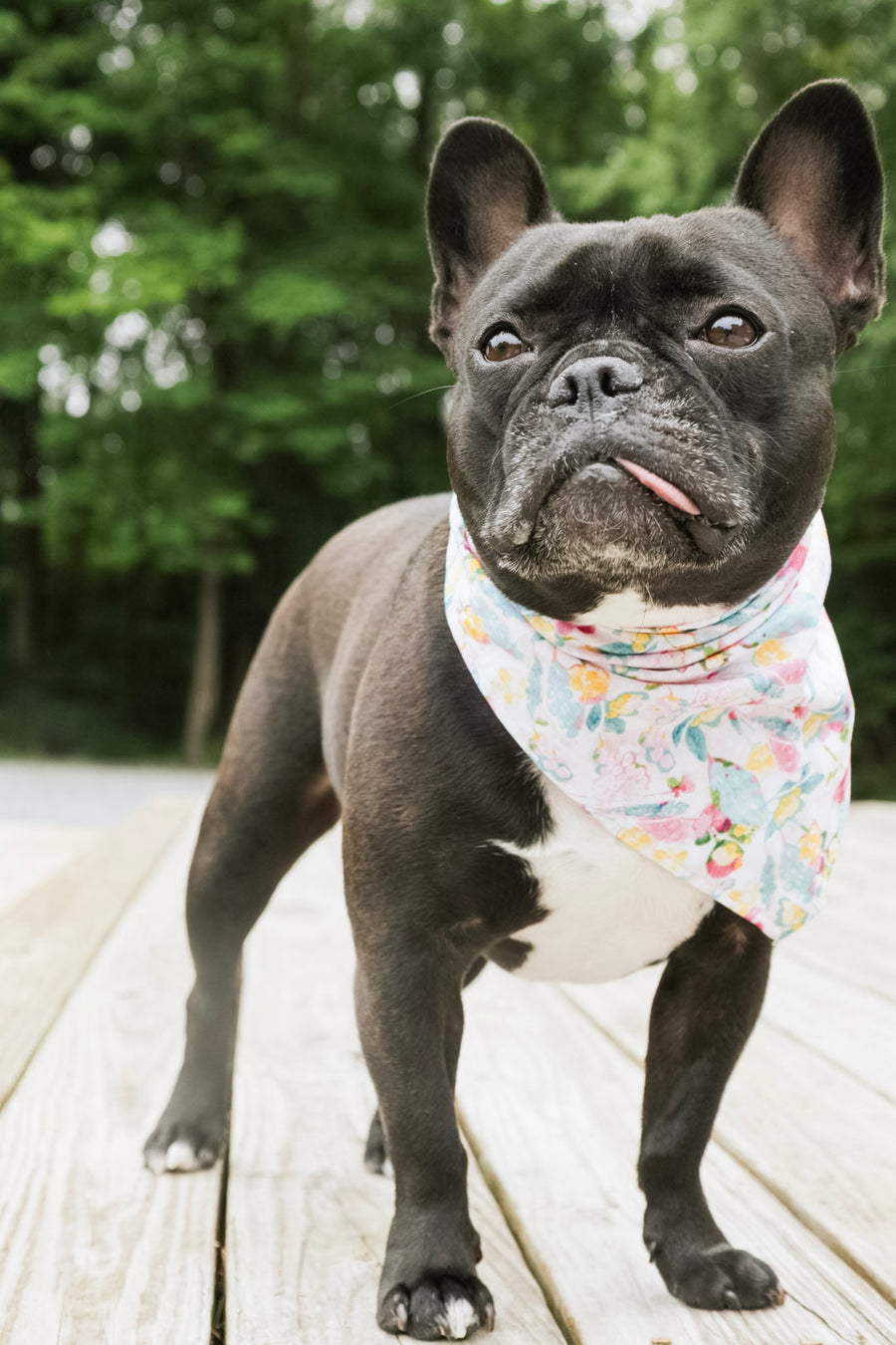 Pink Floral Dog Bandana