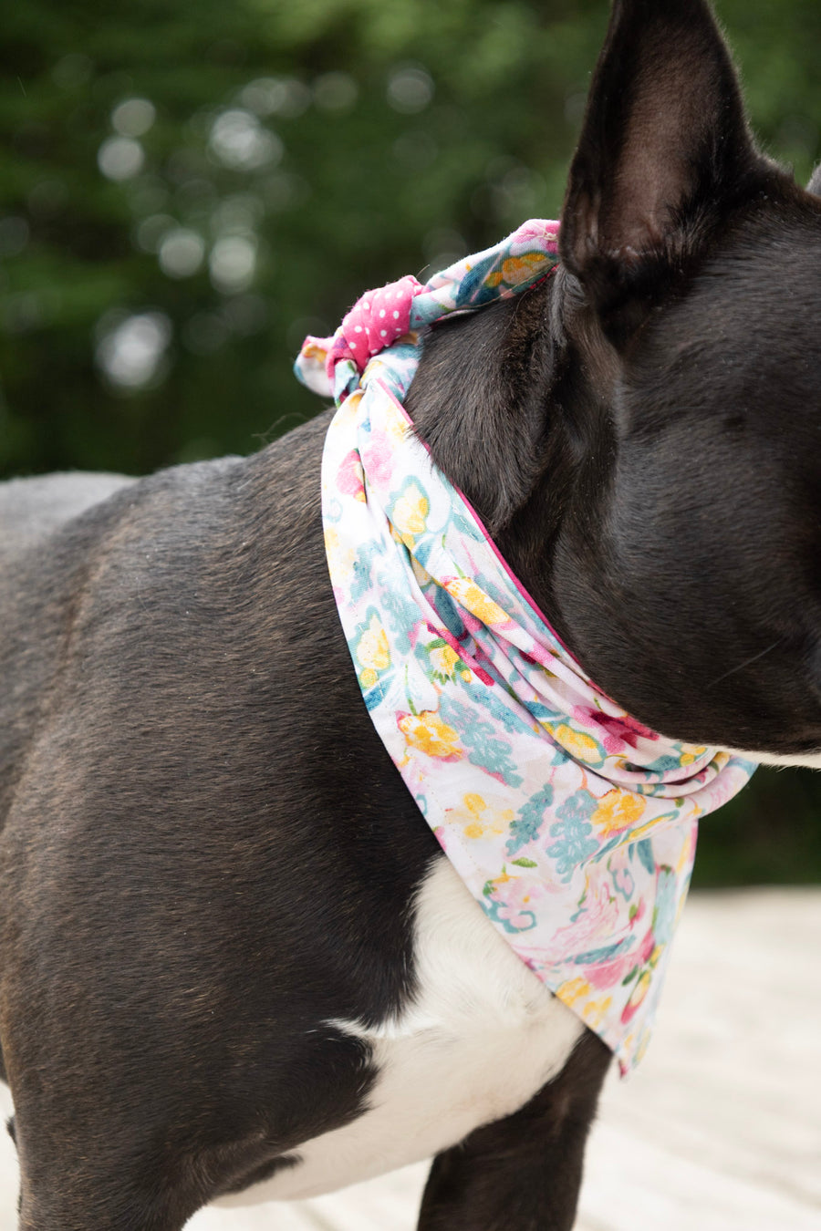 Pink Floral Dog Bandana