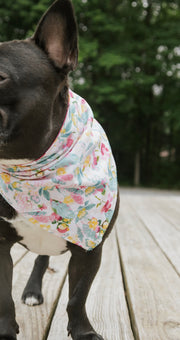 Pink Floral Dog Bandana
