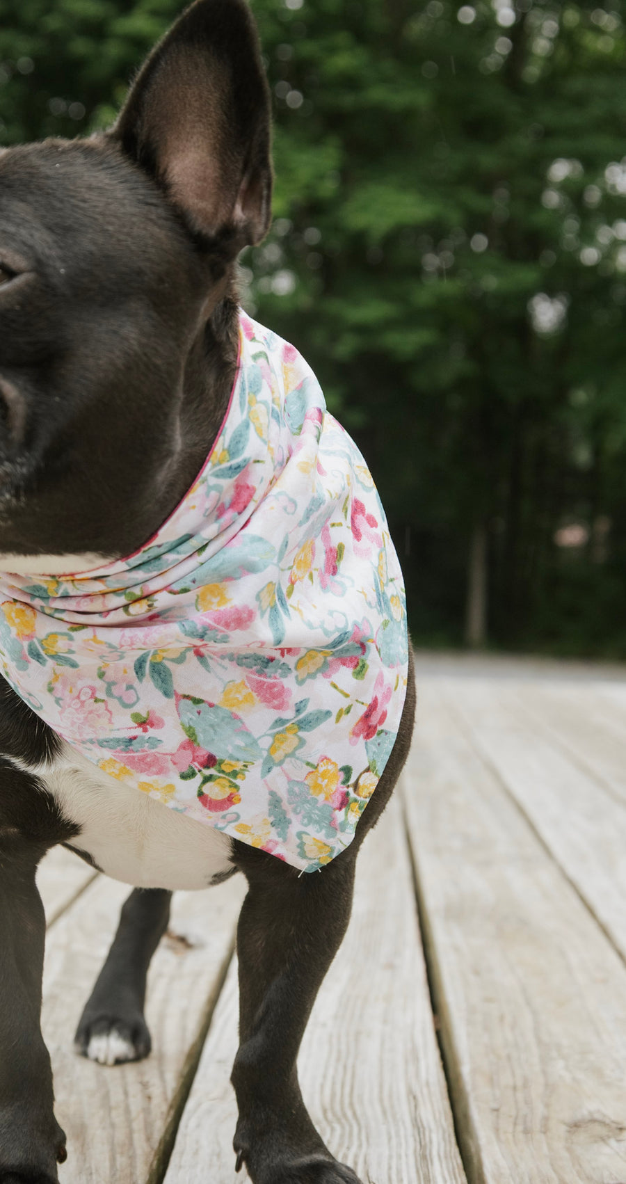 Pink Floral Dog Bandana