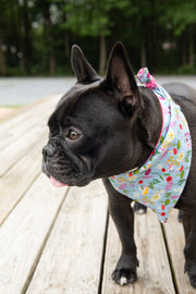 Blue Floral Dog Bandana