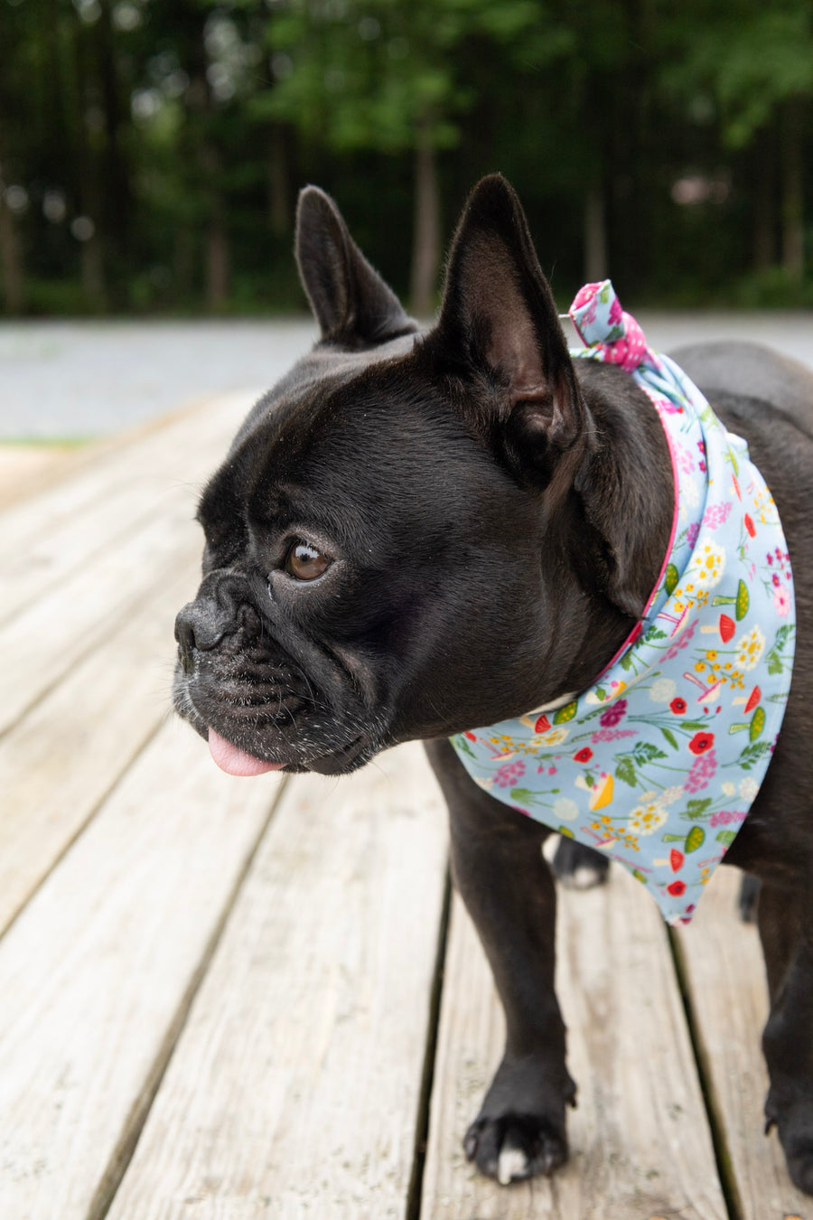 Blue Floral Dog Bandana