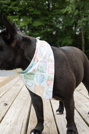 Kitchen Pattern Dog Bandana