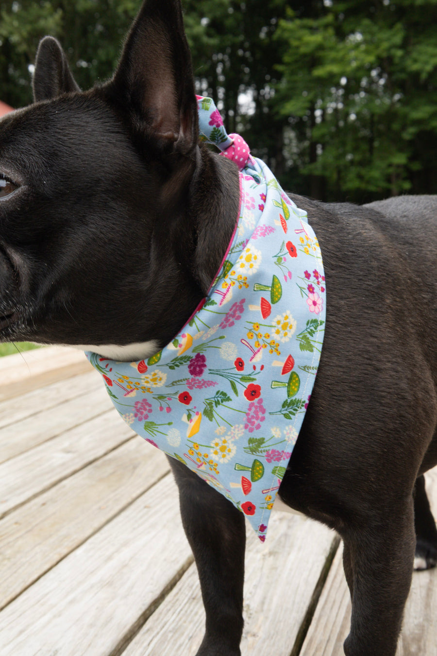 Blue Floral Dog Bandana
